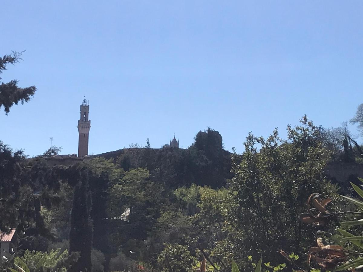 Apartment Le Logge Siena